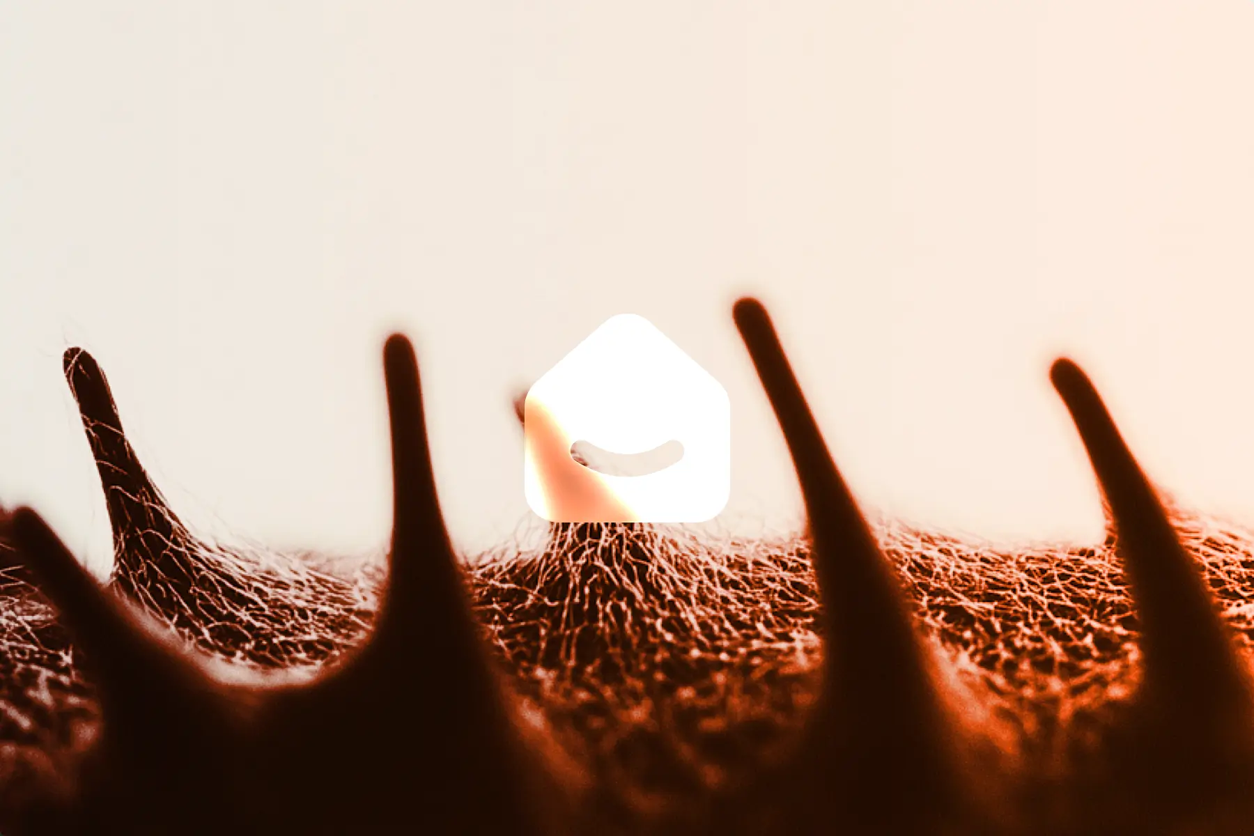 Craft Stunning Web Experiences Easily