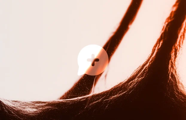 Build World-Class Websites Effortlessly