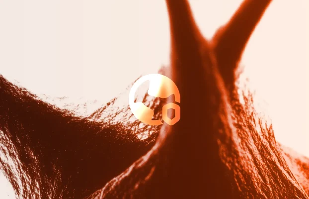 Create world-class with pixfort products