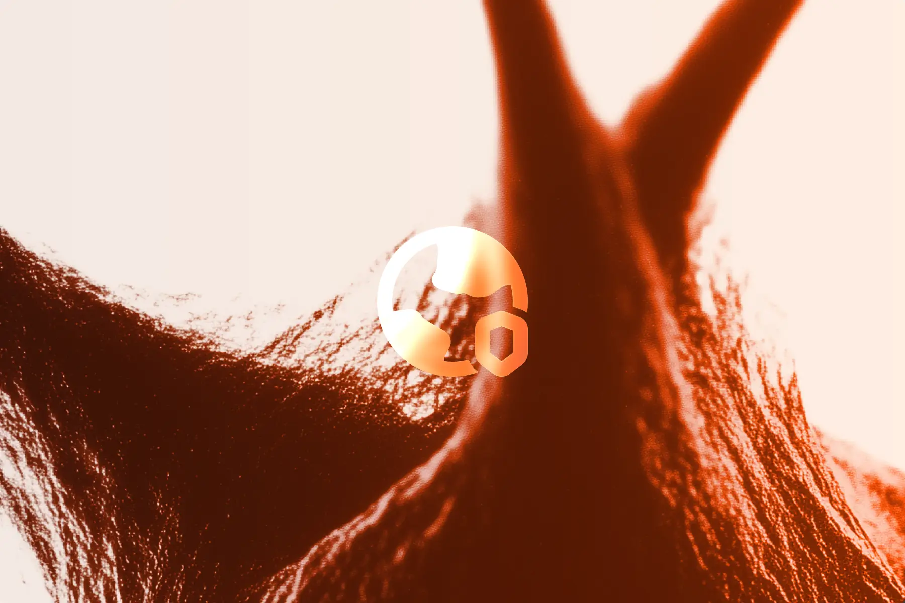 Create world-class with pixfort products