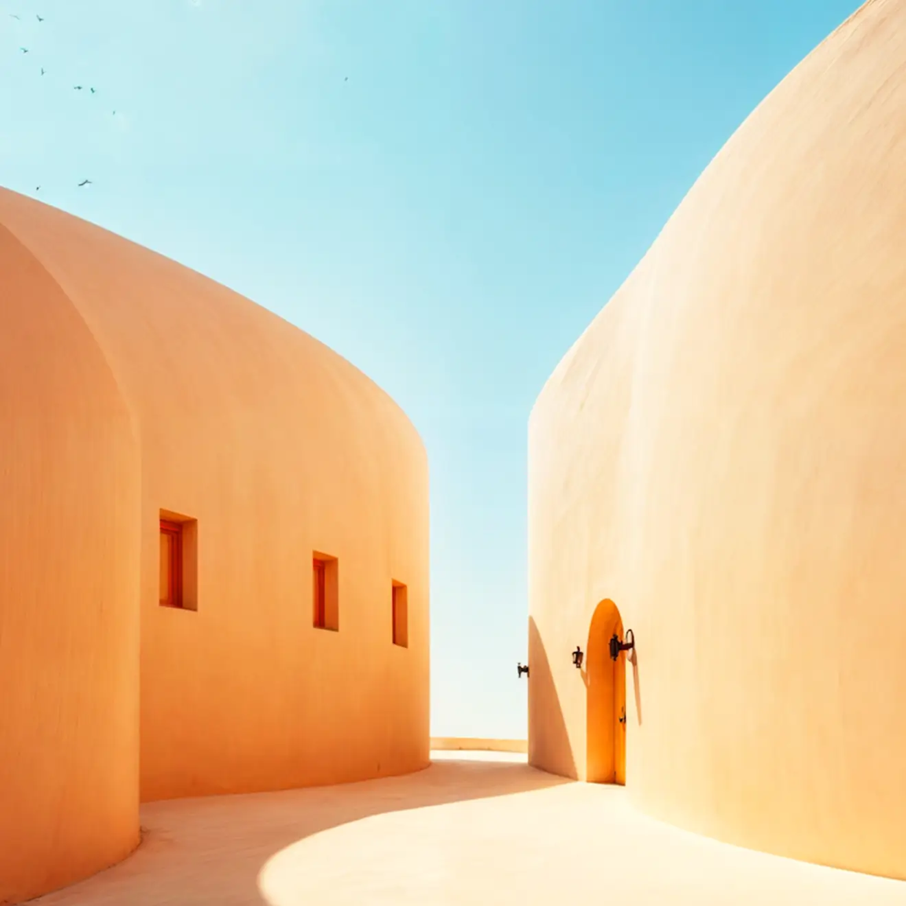 Selected Outcome: Operational & Experience Improvements